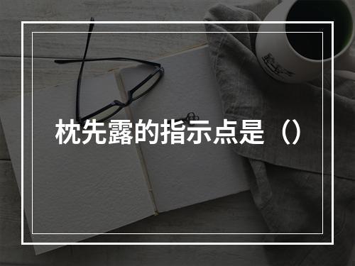 枕先露的指示点是（）