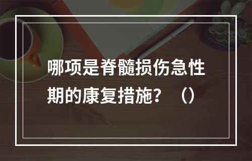 哪项是脊髓损伤急性期的康复措施？（）