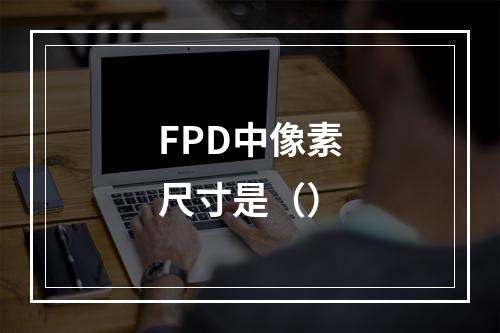 FPD中像素尺寸是（）