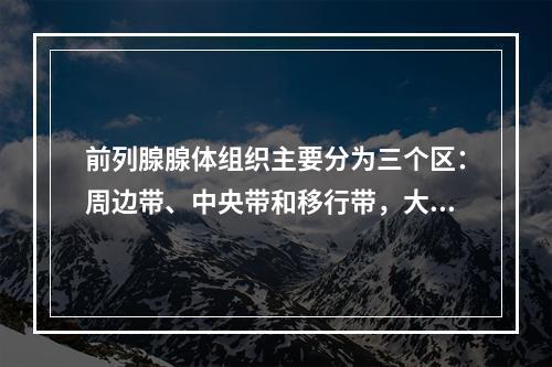 前列腺腺体组织主要分为三个区：周边带、中央带和移行带，大多数