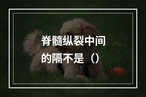 脊髓纵裂中间的隔不是（）