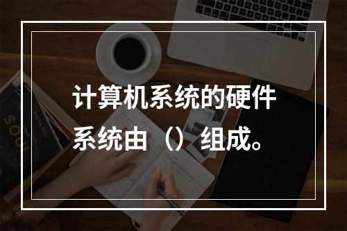 计算机系统的硬件系统由（）组成。