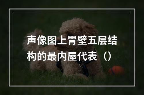 声像图上胃壁五层结构的最内屋代表（）