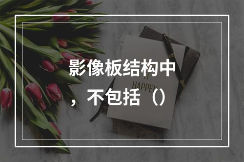 影像板结构中，不包括（）