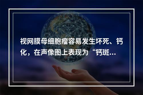 视网膜母细胞瘤容易发生坏死、钙化，在声像图上表现为“钙斑”，