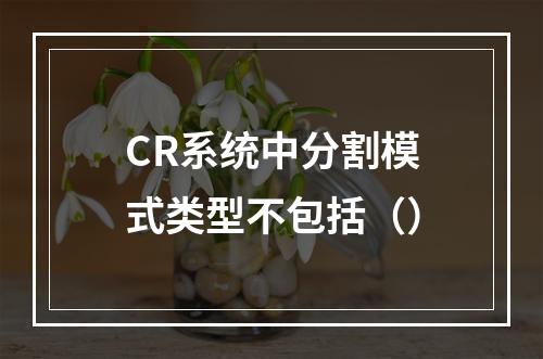 CR系统中分割模式类型不包括（）