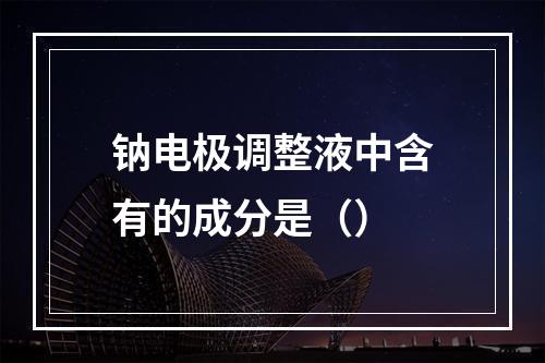 钠电极调整液中含有的成分是（）