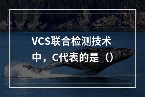 VCS联合检测技术中，C代表的是（）