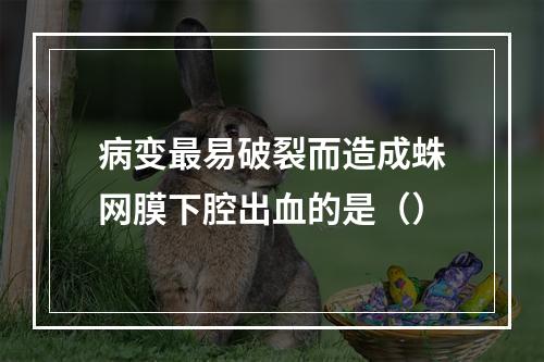 病变最易破裂而造成蛛网膜下腔出血的是（）