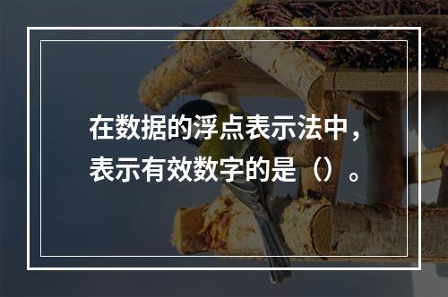 在数据的浮点表示法中，表示有效数字的是（）。