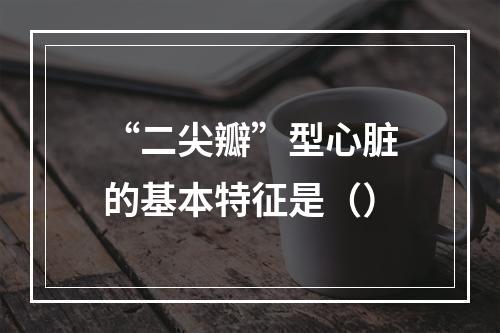 “二尖瓣”型心脏的基本特征是（）