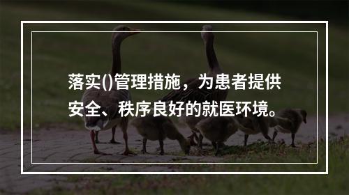 落实()管理措施，为患者提供安全、秩序良好的就医环境。