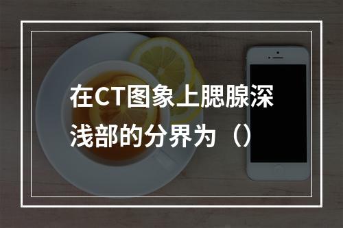 在CT图象上腮腺深浅部的分界为（）