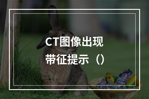 CT图像出现带征提示（）