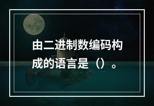 由二进制数编码构成的语言是（）。