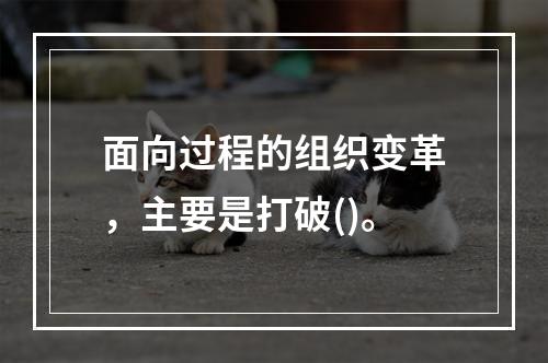 面向过程的组织变革，主要是打破()。