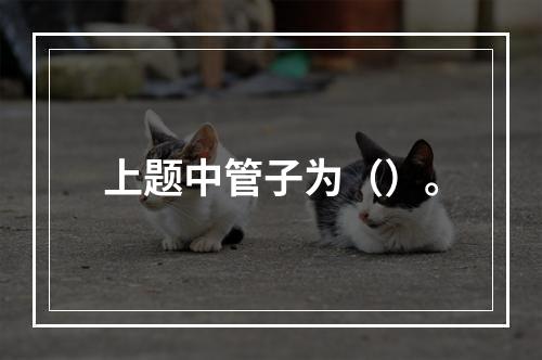 上题中管子为（）。