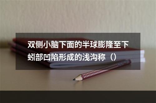 双侧小脑下面的半球膨隆至下蚓部凹陷形成的浅沟称（）