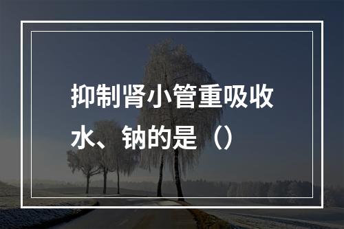 抑制肾小管重吸收水、钠的是（）