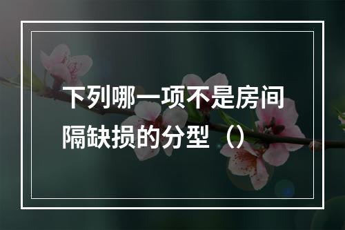 下列哪一项不是房间隔缺损的分型（）