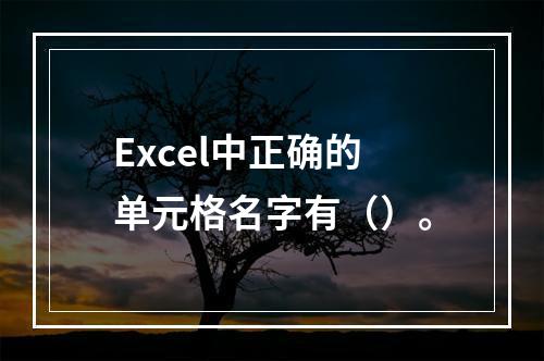 Excel中正确的单元格名字有（）。