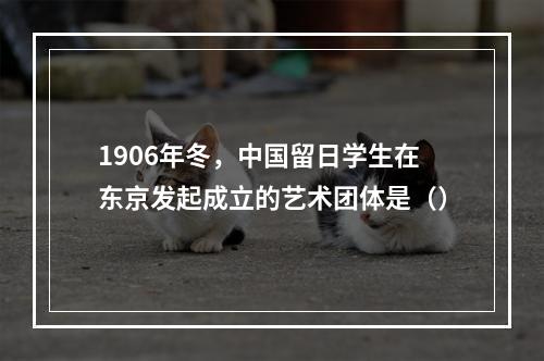 1906年冬，中国留日学生在东京发起成立的艺术团体是（）