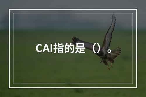 CAI指的是（）。