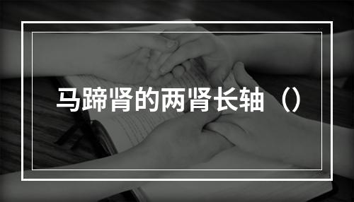 马蹄肾的两肾长轴（）