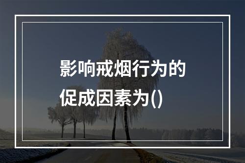 影响戒烟行为的促成因素为()