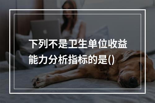 下列不是卫生单位收益能力分析指标的是()