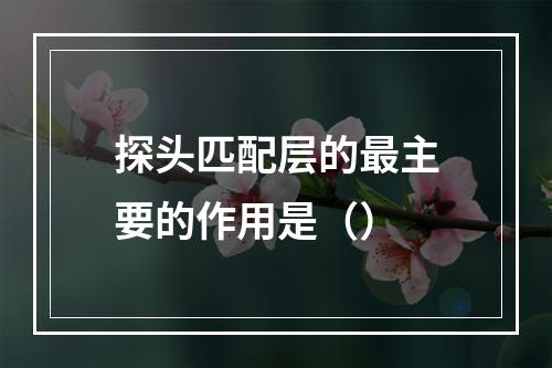 探头匹配层的最主要的作用是（）