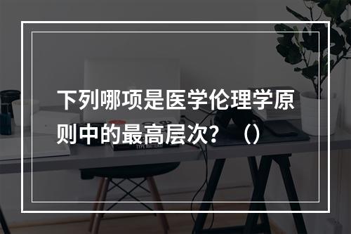 下列哪项是医学伦理学原则中的最高层次？（）