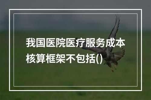 我国医院医疗服务成本核算框架不包括()