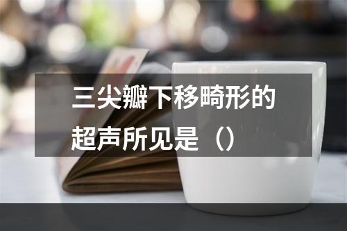 三尖瓣下移畸形的超声所见是（）