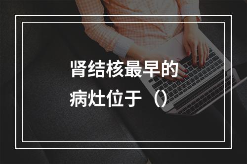 肾结核最早的病灶位于（）