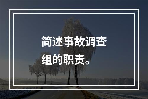 简述事故调查组的职责。