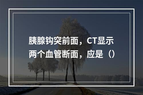 胰腺钩突前面，CT显示两个血管断面，应是（）