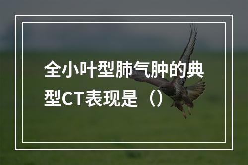 全小叶型肺气肿的典型CT表现是（）