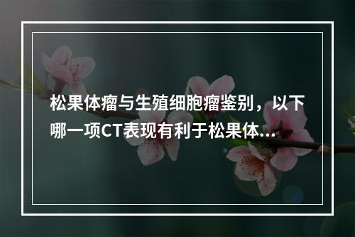 松果体瘤与生殖细胞瘤鉴别，以下哪一项CT表现有利于松果体瘤的