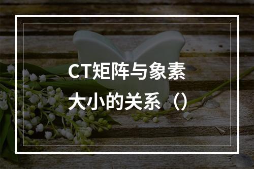 CT矩阵与象素大小的关系（）