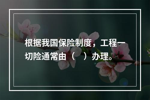 根据我国保险制度，工程一切险通常由（　）办理。