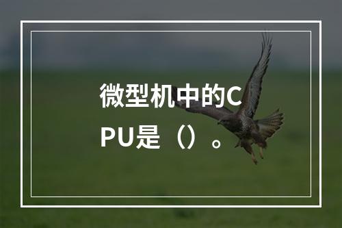 微型机中的CPU是（）。