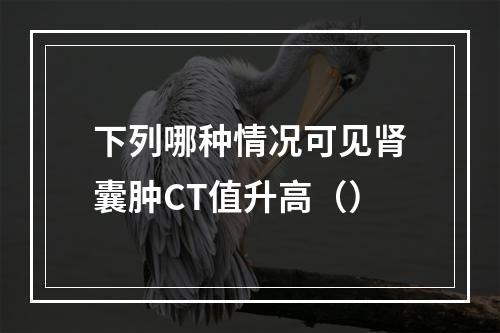 下列哪种情况可见肾囊肿CT值升高（）