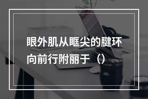 眼外肌从眶尖的腱环向前行附丽于（）