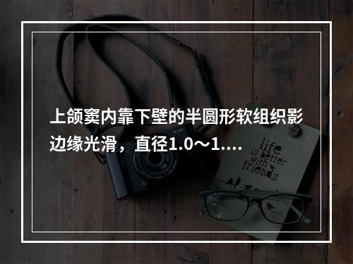 上颌窦内靠下壁的半圆形软组织影边缘光滑，直径1.0～1.5c