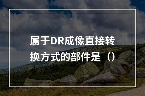 属于DR成像直接转换方式的部件是（）