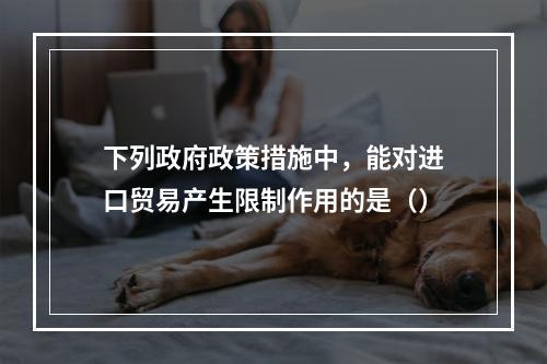 下列政府政策措施中，能对进口贸易产生限制作用的是（）