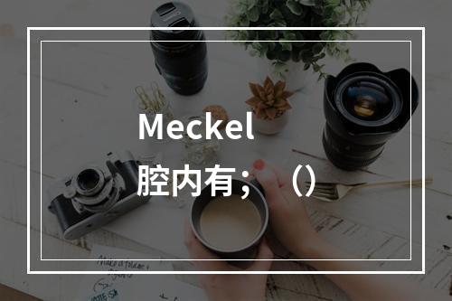 Meckel腔内有；（）