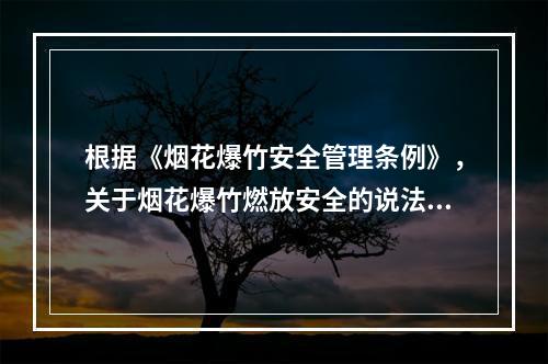 根据《烟花爆竹安全管理条例》，关于烟花爆竹燃放安全的说法，正