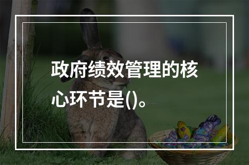 政府绩效管理的核心环节是()。